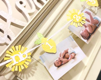 Lemonade First Birthday Photo Banner: Yellow & Pink Sunshine Party Decor
