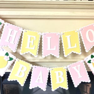 May include: A decorative banner with the words "HELLO BABY" in white letters on pink and yellow pennants. The banner is adorned with lemon and flower cutouts and pink ribbons for hanging. Perfect for a baby shower.