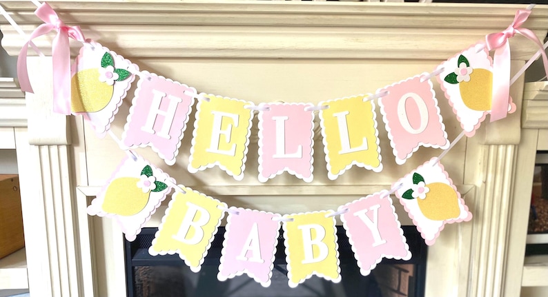 May include: A decorative banner with the words "HELLO BABY" in white letters on pink and yellow pennants. The banner is adorned with lemon and flower cutouts and pink ribbons for hanging. Perfect for a baby shower.