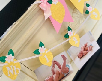 Lemon 12 Month Photo Banner, Lemonade High Chair Banner, Lemonade Birthday Decorations, Lemon 1st Birthday,Citrus Birthday Girl 1st Birthday