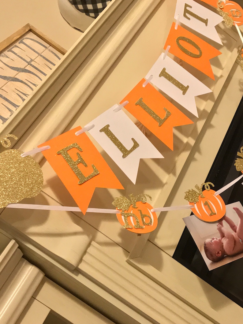 Pumpkin 1st Birthday First Birthday Decorations Pumpkin Banner Little Pumpkin 1st Birthday Pumpkin Photo Banner