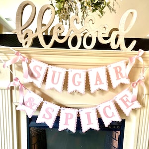 Sugar & Spice Baby Shower Decorations , Coquette Pink and White Baby Shower Banner, Girl Baby Shower Decor , Bow Baby Shower Party  Ideas,