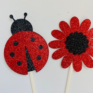 Ladybug 12 Month Photo Banner, Ladybug 1st Birthday Decorations, Ladybug Birthday Banner, Lady Bug High Chair Banner,Girl 1st Birthday Decor image 4