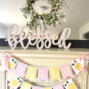 Lemon Birthday Decor, Pink Lemonade Decorations , Hello Baby shower Party image 5