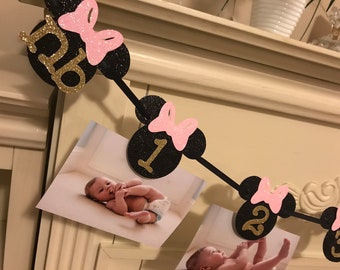 Minnie Mouse 12 Month Photo Banner, Minnie 1st Birthday Decorations , Minnie Girl 1st Birthday, Minnie Mouse Banner, Minnie Birthday Garland