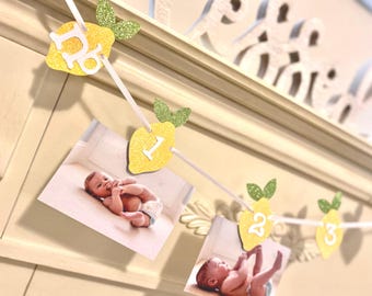 Lemon Birthday Decor , Lemonade Photo Banner:  Lemon Party Decorations