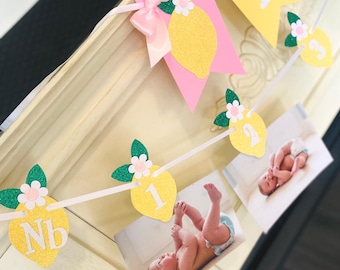 Lemonade 1st Birthday : Lemon ONE and Photo Banner , High Chair Decoration