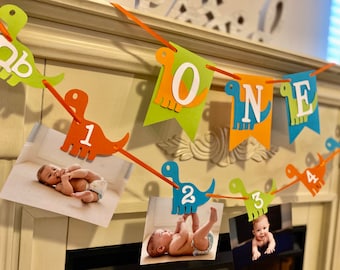 Dinosaur 1st Birthday Banner | 12 Month Photo Display