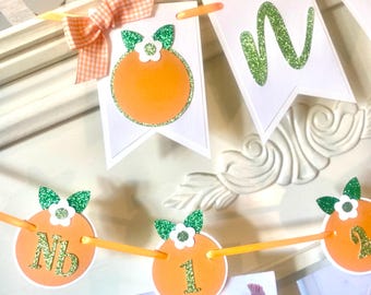 May include: Orange themed baby's first birthday banner with orange circles, green leaves, and white flowers. The banner has the letters "NB" and the number "1" on it.