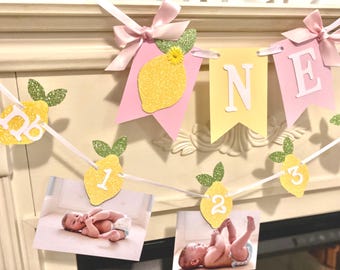 Lemonade Birthday Photo Banner, Pink Yellow  Lemon First Birthday Party Decor