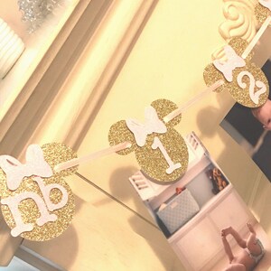 Minnie Mouse 12 Month Photo Banner: Oh Twodles Birthday Decor