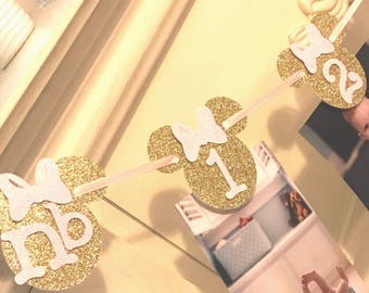 Minnie Mouse 12 Month Photo Banner: Oh Twodles Birthday Decor