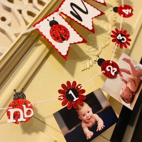 Ladybug 12 Month Photo Banner, Ladybug 1st Birthday Decorations, Ladybug Birthday Banner, Lady Bug High Chair Banner,Girl 1st Birthday Decor