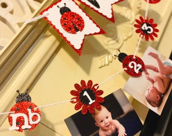 Ladybug 1st Birthday : Red & Black Photo Banner, Lady Bug High Chair Banner