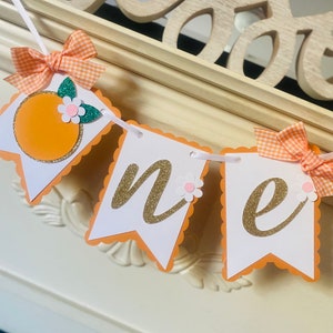 Little Cutie Birthday Banner: Orange Clementine Party Decor