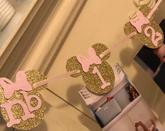 Minnie Mouse 12 Month Photo Banner: Pink & Gold Birthday Decor