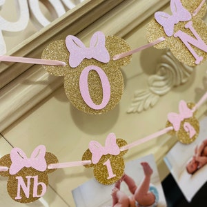 May include: A pink and gold glitter banner with Mickey Mouse ears and bows. The banner has the numbers 0, 1, and NB on it.