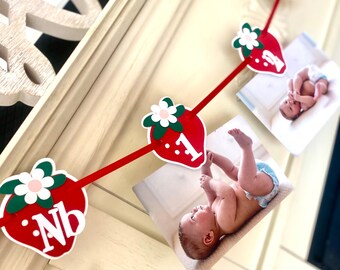 Strawberry  Photo Banner: Berry 1st Birthday Party Decor