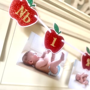 Apple 12 Month Photo Banner: Glitter First Birthday Garland
