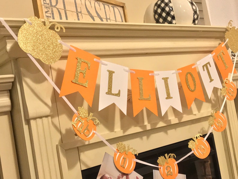 Pumpkin 1st Birthday First Birthday Decorations Pumpkin Banner Little Pumpkin 1st Birthday Pumpkin Photo Banner