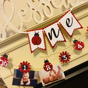 Ladybug 12 Month Photo Banner, Ladybug 1st Birthday Decorations, Ladybug Birthday Banner, Lady Bug High Chair Banner,Girl 1st Birthday Decor image 6