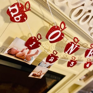 Apple First Birthday Banner: Photo & High Chair Decor