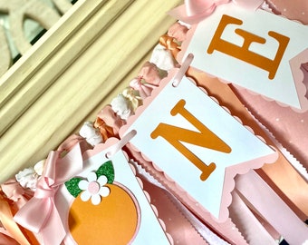 Little Cutie High Chair Banner: Clementine First Birthday Decor