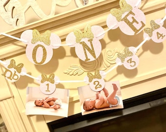 Minnie Mouse First Birthday : Oh Twodles Monthly Photo Banner