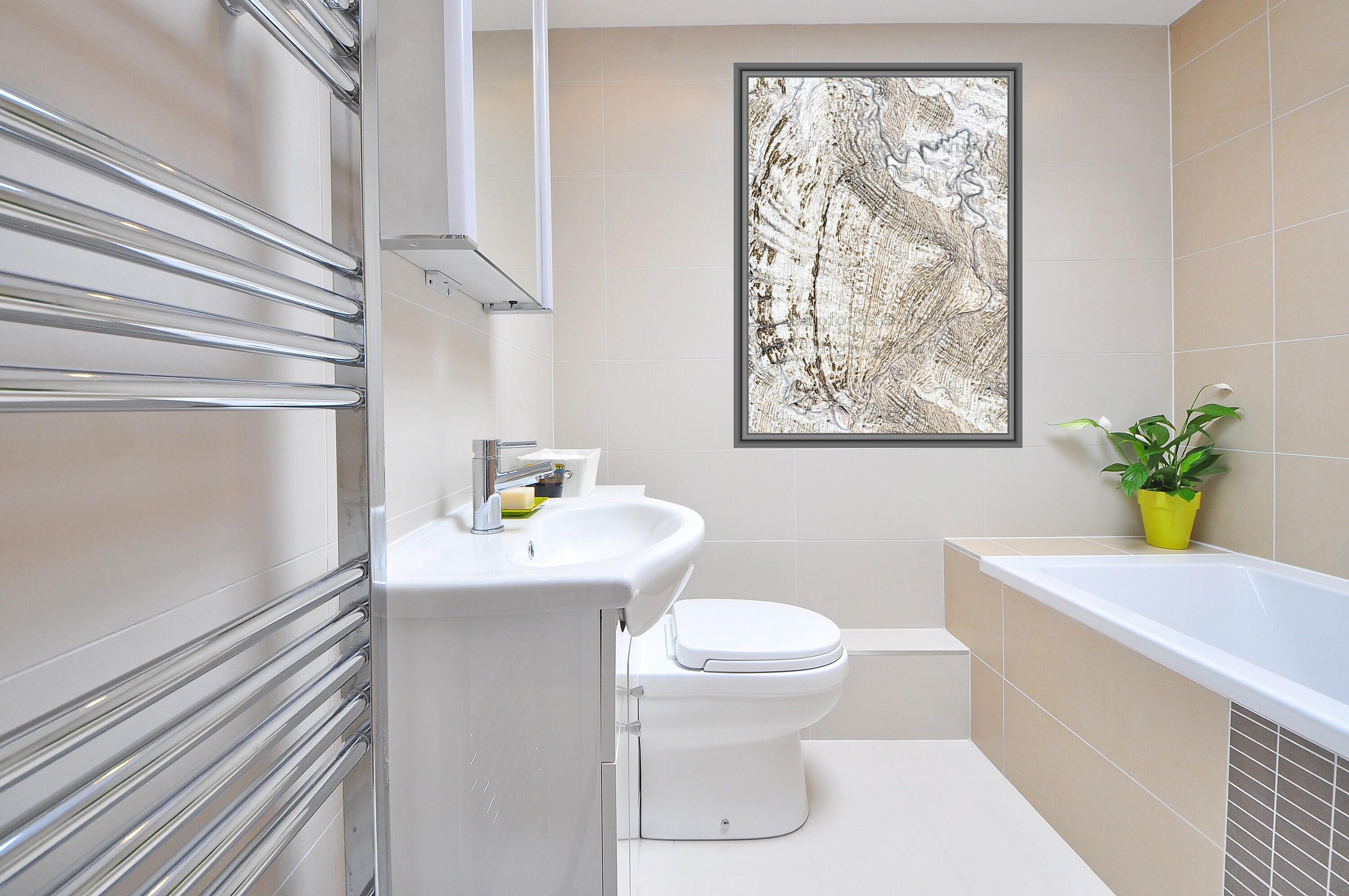 Seashell Print Abstract Bathroom Decor Shell Wall Art Etsy