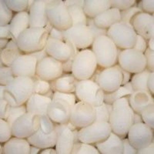 Könnte beinhalten: Eine Nahaufnahme eines Stapels weißer Seidenkokons. Die Kokons sind glatt und oval, mit einer leicht strukturierten Oberfläche.