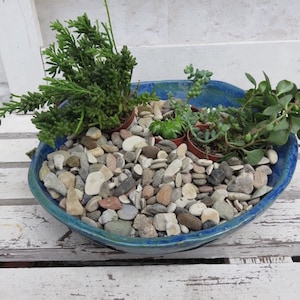 Könnte beinhalten: Eine blaue Keramikschale gefüllt mit kleinen, bunten Steinen und vier kleinen Sukkulenten in Töpfen. Die Sukkulenten sind in der Mitte der Schale angeordnet, umgeben von den Steinen.