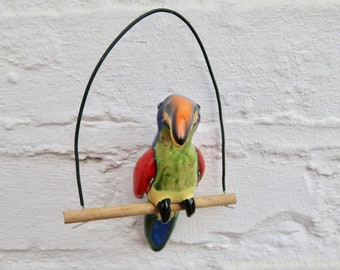 Papagei Rusty auf der Stange, buntes Federkleid, Fensterdekoration
