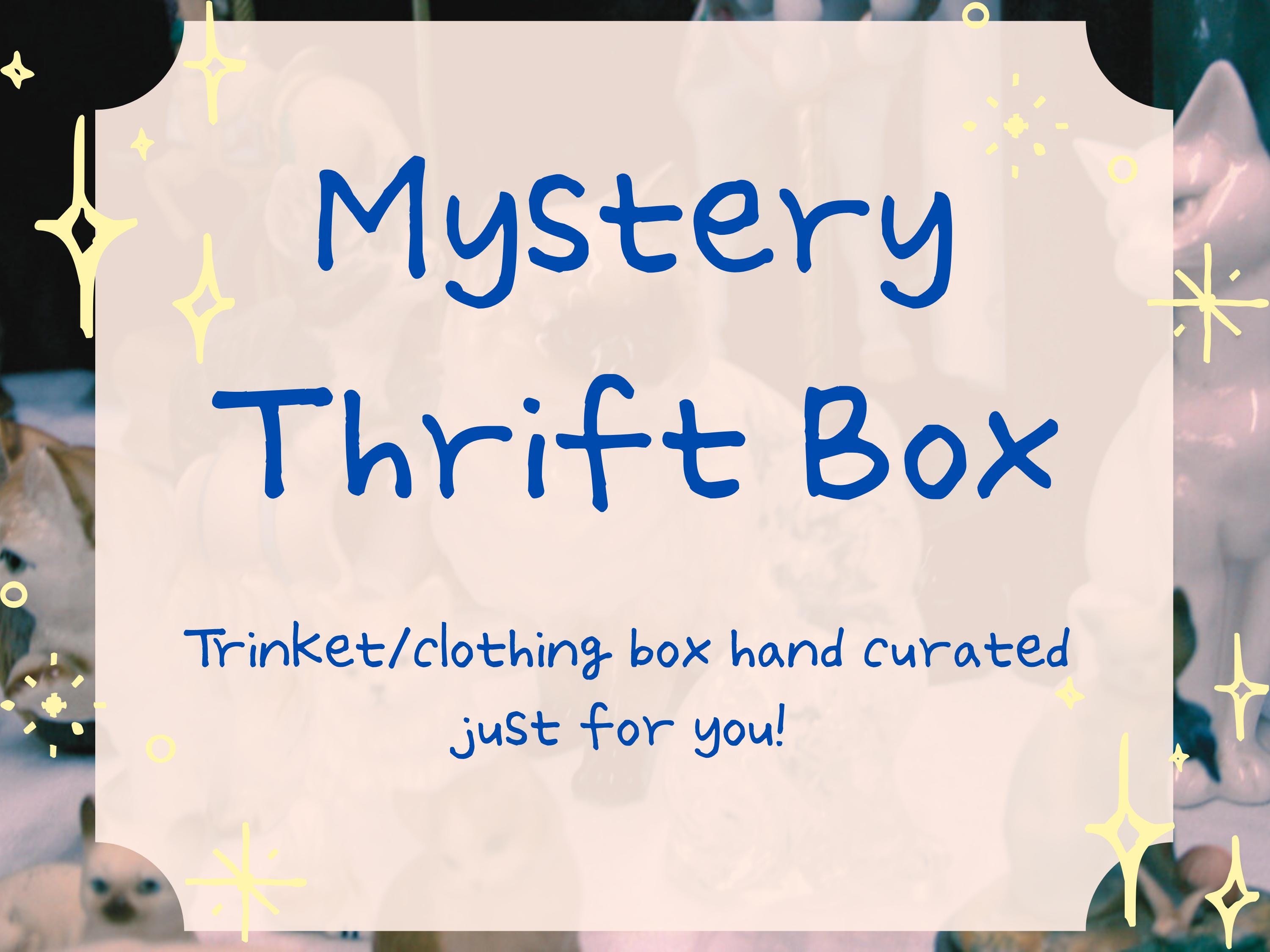 Thrifted Clothing Boxes