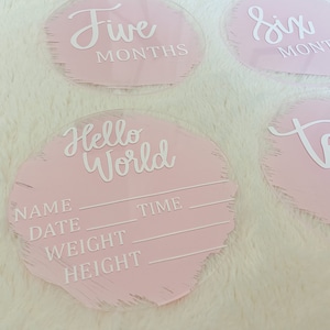 Acrylic Baby Monthly Milestones - Painted Acrylic Disc, 12 Month Set ...