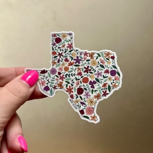 Texas Sticker Texas Car Decal Gift for Friend Texas Souvenir Waterproof Sticker