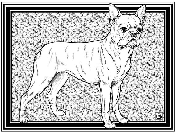 Downloadable High Resolution Coloring Page 4 Dogs Series Etsy