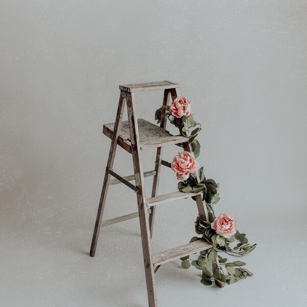 Ladder - Etsy