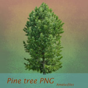 Pine Tree PNG: Transparent Overlay for Digital Art (300 DPI)