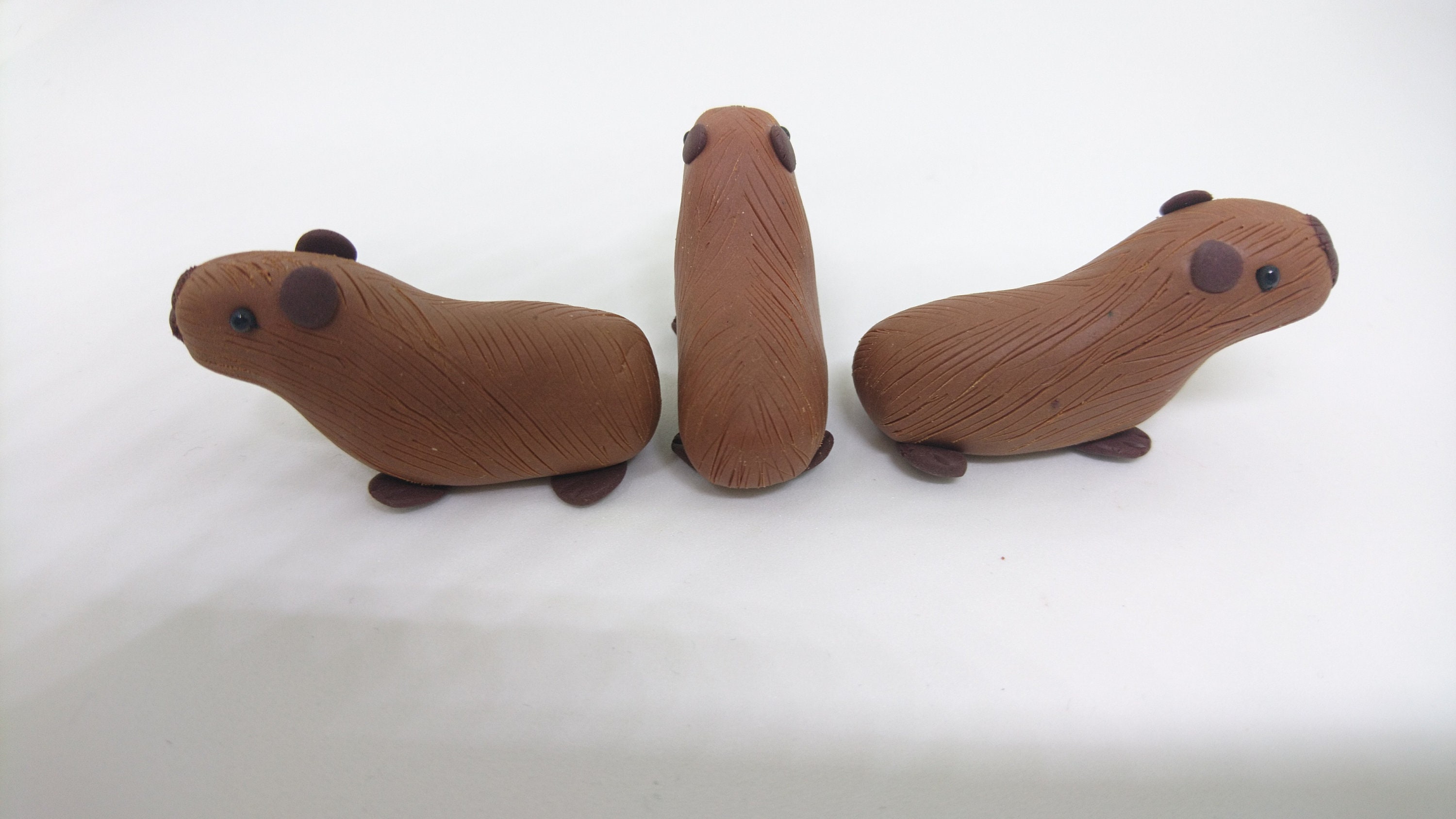 Capybara