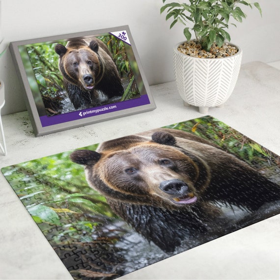 Grizzly jigsaw 2024