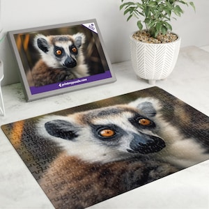 Lemur 300 Teile Puzzle – Wildtier Wald Natur Liebhaber Geschenk Bär China Madagaskar Affe Primas