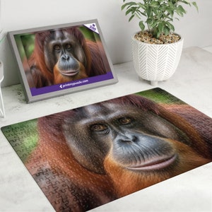 Orang-Utan 300 Teile Puzzle – Wildtier Wald Natur Liebhaber Geschenk Afrika Regenwald Affe Primas