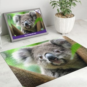 Koala 300 Teile Puzzle – Wildtier Wald Natur Liebhaber Geschenk Tropischer Regenwald Bär Süß Australien