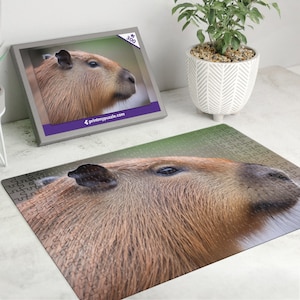 Capybara 300 Teile Puzzle – Wildtier Wald Natur Liebhaber Geschenk Tropischer Regenwald Wasserschwein Cavia