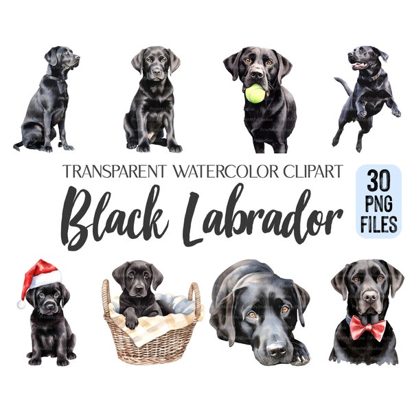 COMMERCIAL USE With No Limits | 30 x Black Labrador Watercolor Clipart | Dog Lover Illustrations | Transparent Background Png Files