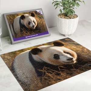 Panda 300 Teile – Wildtier Wald Natur Liebhaber Geschenk Bär China