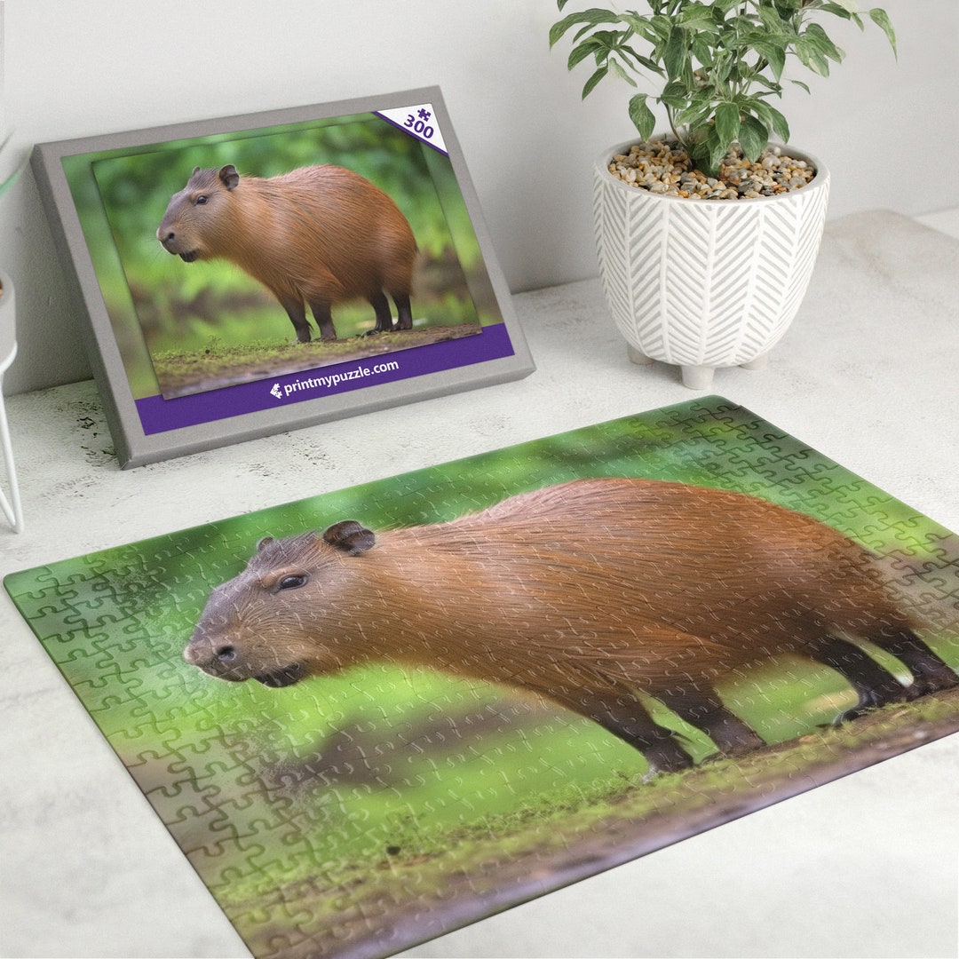 Capybara 300 Piece Jigsaw Puzzle – Wild Animal Forest Nature Lover Gift ...