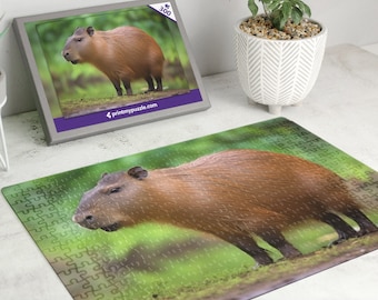 Capybara 300 Piece Jigsaw Puzzle – Wild Animal Forest Nature Lover Gift Tropical Rainforest Water Hog Cavy