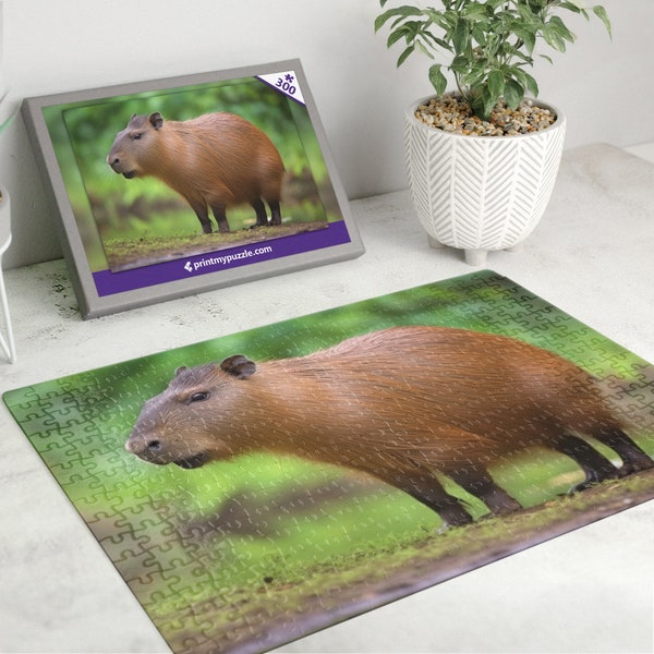 Capybara 300 Piece Jigsaw Puzzle – Wild Animal Forest Nature Lover Gift Tropical Rainforest Water Hog Cavy