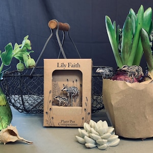 May include: A brown cardboard box with a white label that says "Lily Faith Plant Pot Companions". The box has a window that shows a black and white illustration of three badgers in a forest setting.